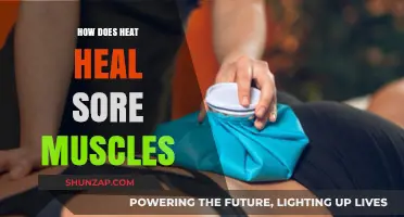 Heat Therapy: Unlocking Muscle Recovery and Soothing Sore Tissues