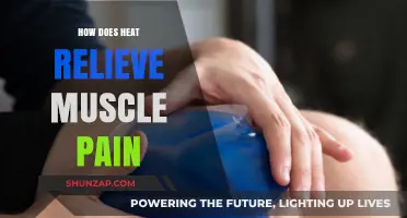 Heat Therapy: How Warmth Relieves Muscle Pain and Promotes Healing
