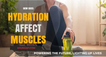 Quench Your Muscles' Thirst: The Power of Hydration in Fitness