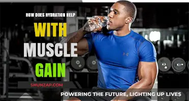 Hydration's Role in Maximizing Muscle Growth and Recovery