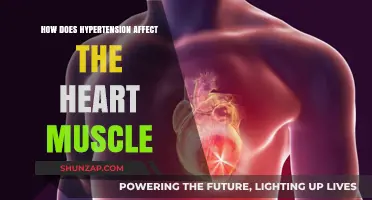 The Impact of Hypertension on Heart Muscle Health