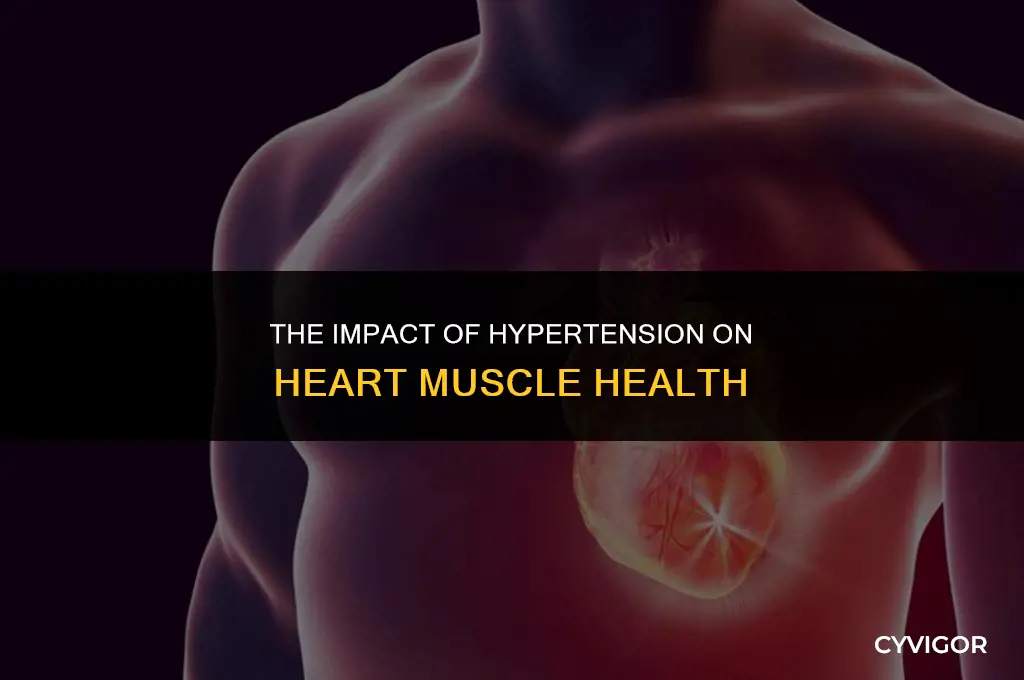how does hypertension affect the heart muscle