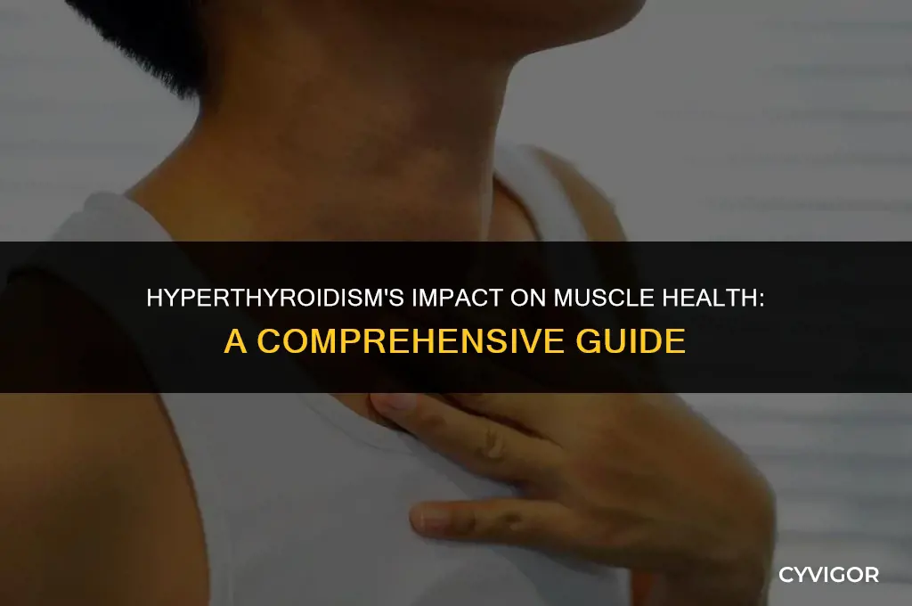 how does hyperthyroidism affect muscles