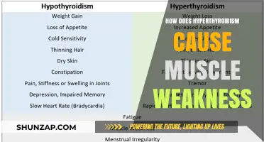 Hyperthyroidism: Muscle Weakness and Fatigue Explained