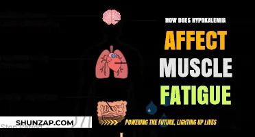 Exploring the Impact of Hypokalemia on Muscle Fatigue: A Comprehensive Guide
