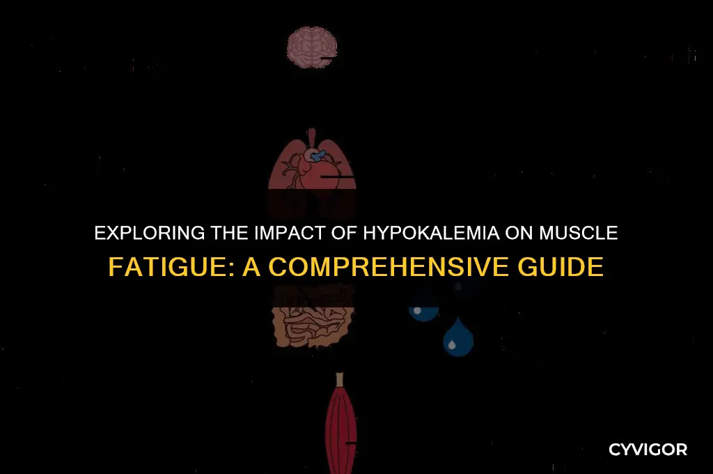 how does hypokalemia affect muscle fatigue