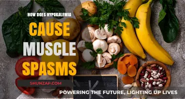 Hypokalemia's Link to Muscle Spasms Explained