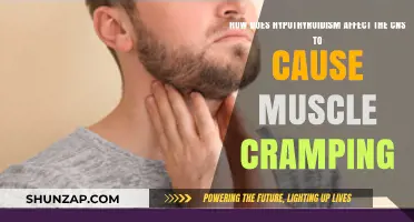Hypothyroidism: CNS Disruptions and Muscle Cramps