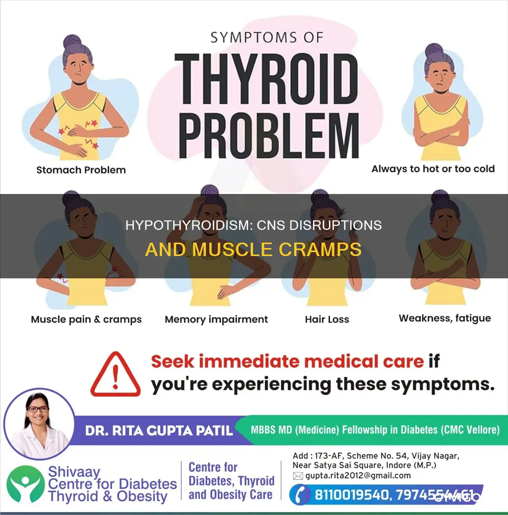 how does hypothyroidism affect the cns to cause muscle cramping