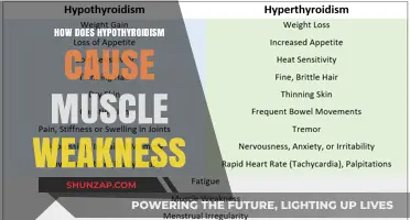Hypothyroidism: Muscle Weakness and Fatigue Explained