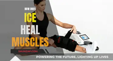Ice Therapy: Muscle Healing and Recovery Explained