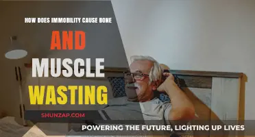 Immobility's Impact: Bone and Muscle Wasting