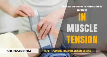 Voltage, Muscle Tension, and the Connection