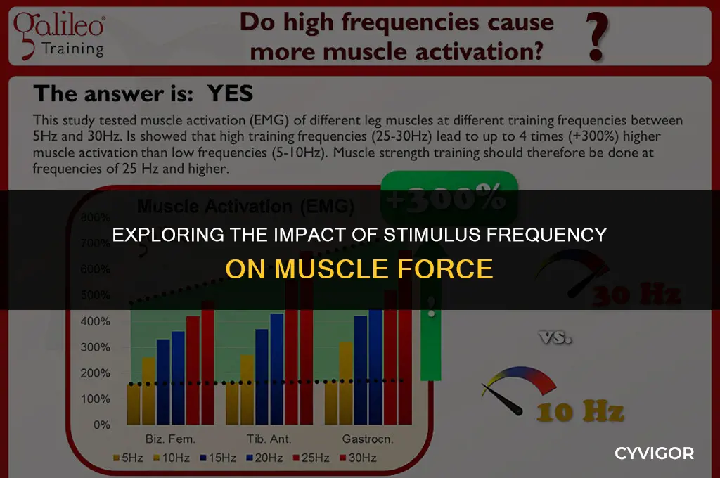 how does increasing stimulus frequency affect the force of muscle