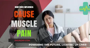 Influenza's Muscle Pain: Understanding the Virus's Impact