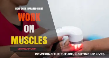 Infrared Light Therapy: Unlocking Muscle Recovery and Pain Relief Secrets