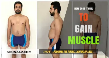 The Empowering Journey of Muscle Gain: Strength, Confidence, and Transformation