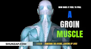 Pulling a Groin Muscle: Pain, Recovery, and What to Expect