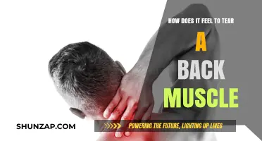 The Agonizing Reality: What It Feels Like to Tear a Back Muscle
