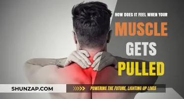 Pulled Muscle Pain: Understanding the Sensation and Recovery Process