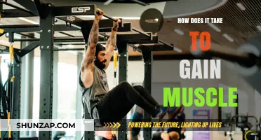 Effective Muscle Building: Timeframe, Strategies, and Proven Results