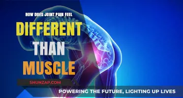 Joint Pain vs. Muscle Pain: Understanding the Unique Sensations