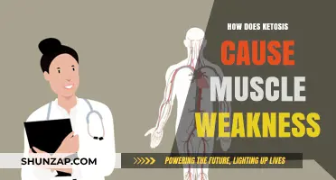 Ketosis and Muscle Weakness: What's the Link?