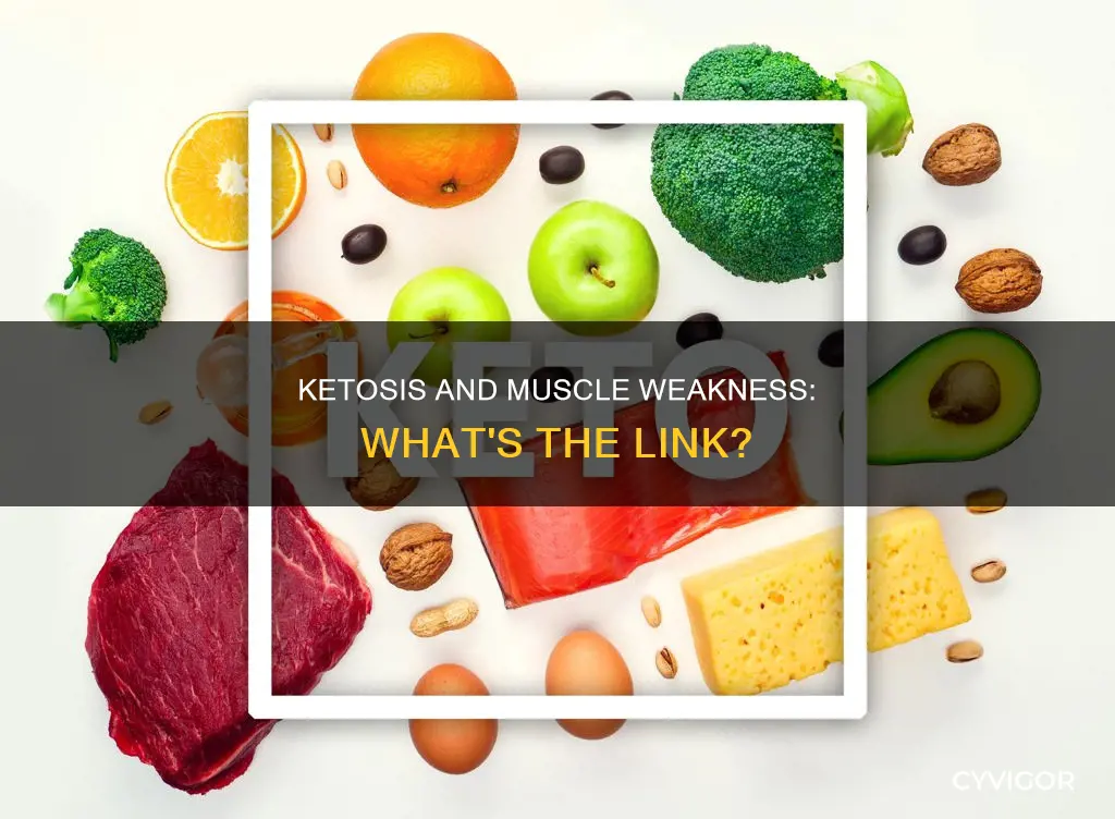 how does ketosis cause muscle weakness