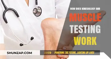 Understanding Kinesiology: Muscle Testing Techniques and Their Applications Explained