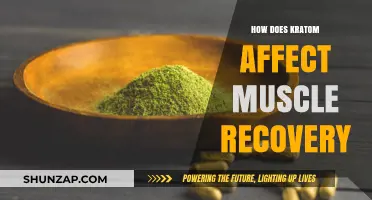 Exploring Kratom's Impact on Muscle Recovery: A Comprehensive Guide