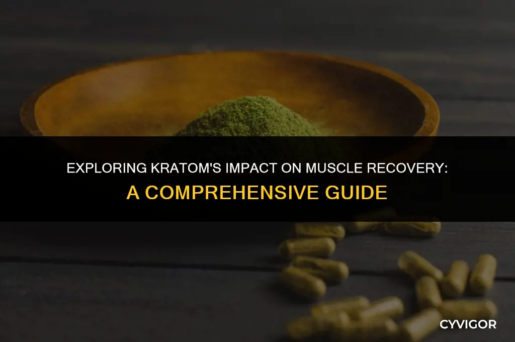 how does kratom affect muscle recovery