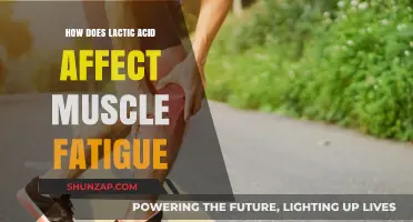 Unraveling the Role of Lactic Acid in Muscle Fatigue: A Deep Dive