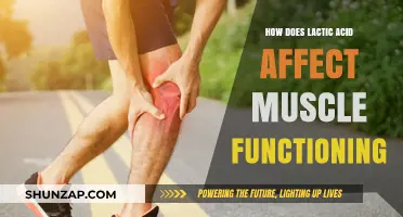 Unveiling the Impact of Lactic Acid on Muscle Performance