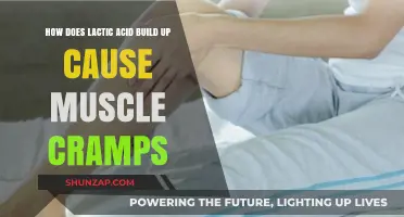 Lactic Acid's Link to Muscle Cramps Explained