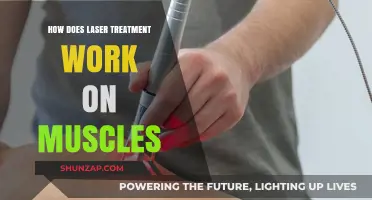Laser Therapy for Muscles: Mechanism, Benefits, and Recovery Explained