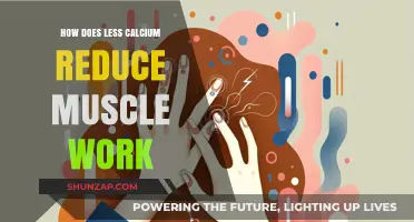 Low Calcium Levels: Impact on Muscle Function and Performance Explained