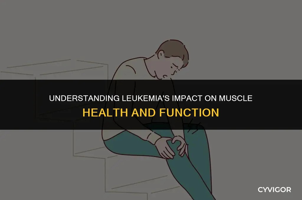 how does leukemia affect muscles