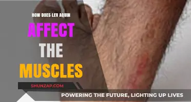 Understanding Levaquin's Impact on Muscle Health: A Comprehensive Guide