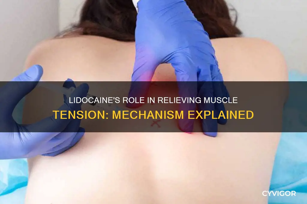 how does lidocaine work for muscle tension
