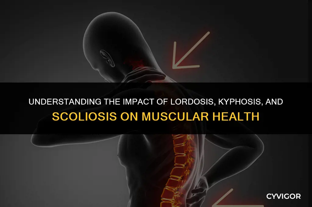 how does lordosis kyphosis scoliosis affect the muscles