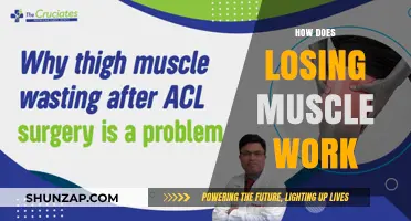 Understanding Muscle Loss: Causes, Mechanisms, and Prevention Strategies