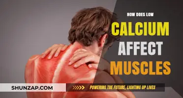 The Impact of Low Calcium on Muscle Health and Function