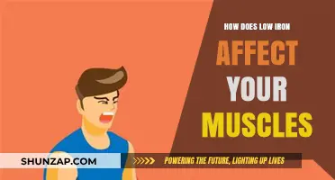Iron Deficiency and Muscle Health: What You Need to Know