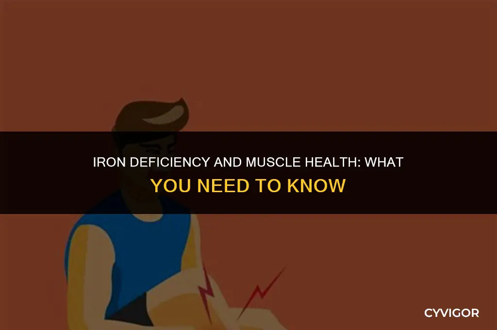how does low iron affect your muscles