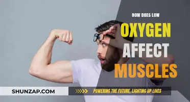 Unveiling the Impact: Low Oxygen's Effects on Muscle Function