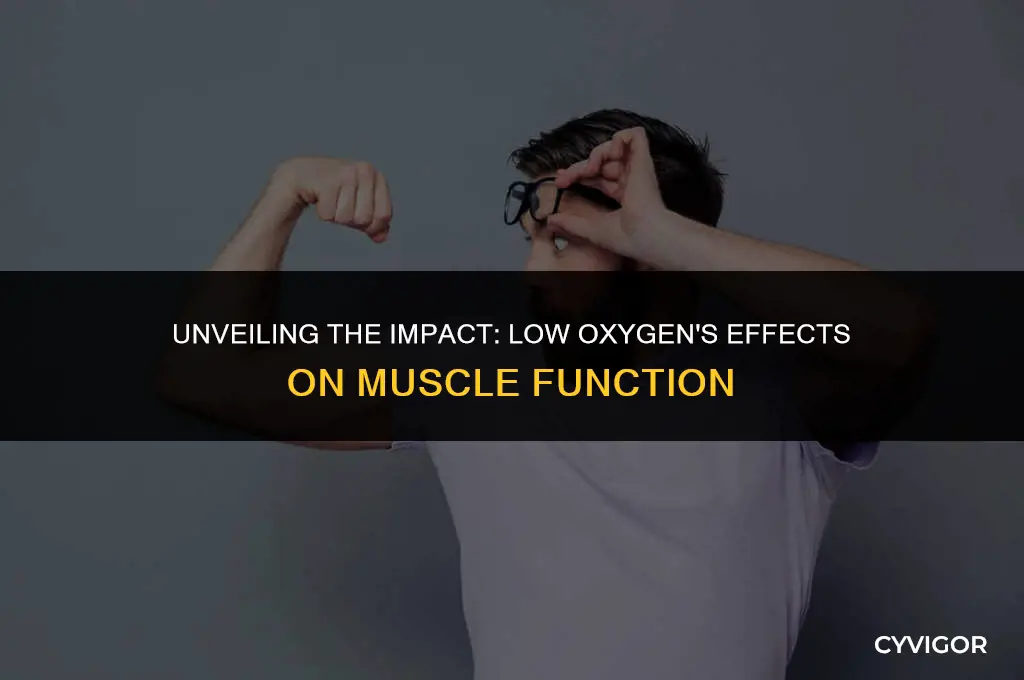 how does low oxygen affect muscles