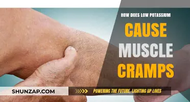 Muscle Cramps: Low Potassium and You