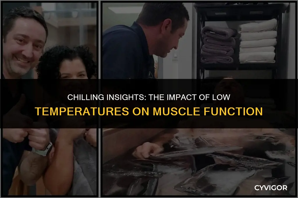 how does low temperature affect muscles