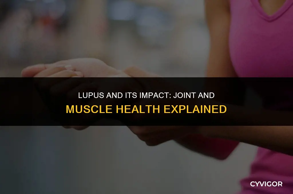 how does lupus affect joints and muscles
