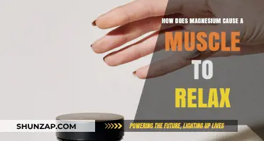Magnesium's Muscle Relaxing Power Explained